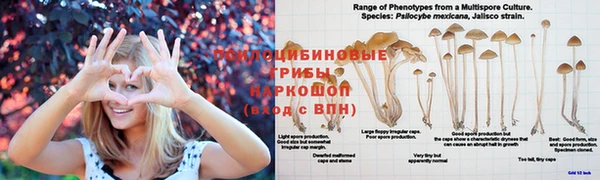 ECSTASY Медногорск