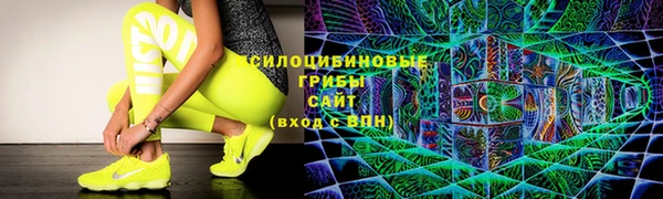 дмт Мегион