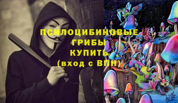 ECSTASY Медногорск