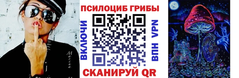 наркота  mega ONION  Псилоцибиновые грибы MAGIC MUSHROOMS  Гаврилов Посад 